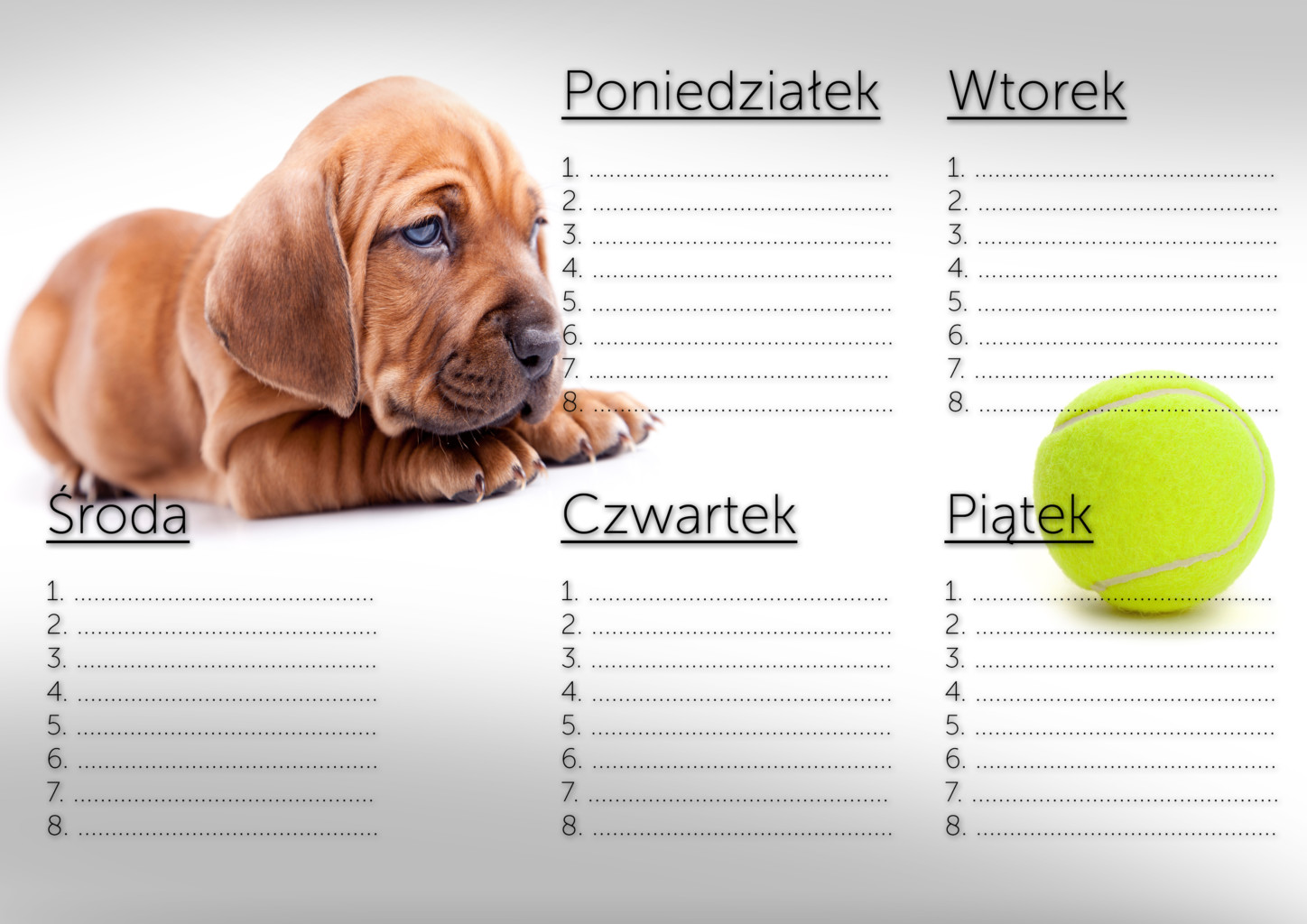 plan lekcji