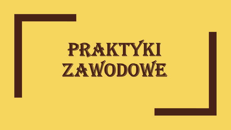 Praktyki-zawodowe
